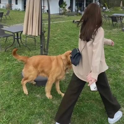 机智医生生活第二季